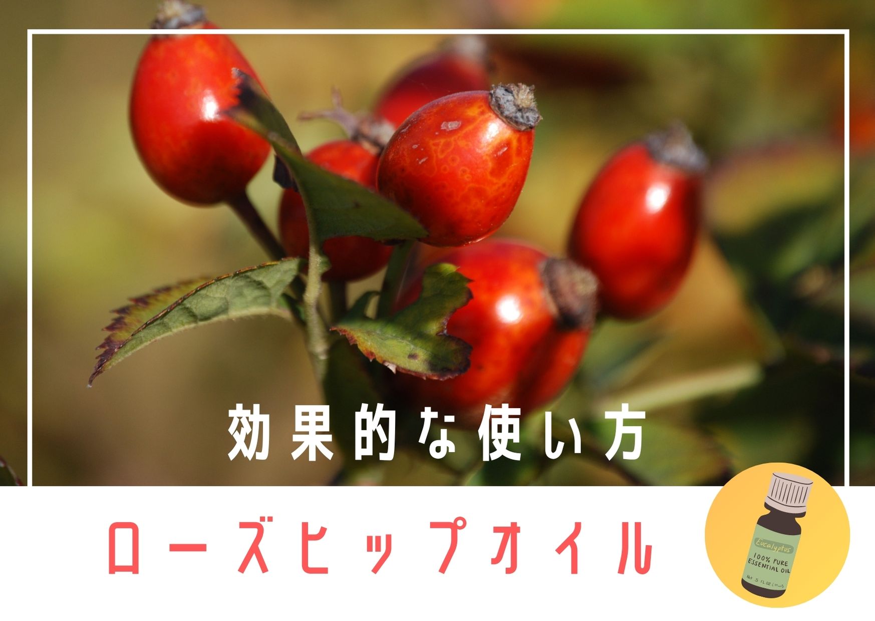 本当に効果を感じた ローズヒップオイル愛用者のおすすめの効果的な使い方 ゆるミニマリスト サクピリカ コスメ日記